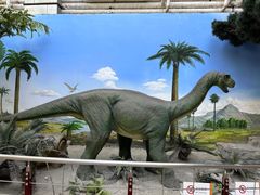 -国家自然博物馆