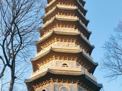 -灵谷景区