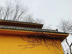 -宝通禅寺