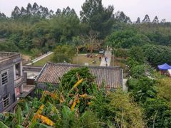 -开平碉楼文化旅游区马降龙景区