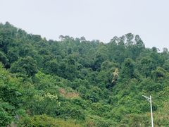 -火炉山森林公园