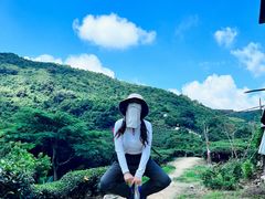 -东莞市大岭山森林公园