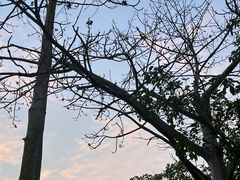 -湖光岩风景区