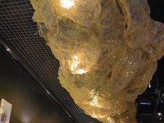 -顶特勒·黄鱼馆·特色菜(上海大世界店)