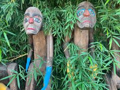 -呀路古热带植物园