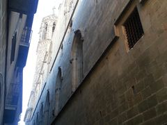 -巴塞罗那主教座堂