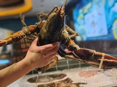 -雍容荟帝王蟹活龙虾展台自助(IFS黑金店)