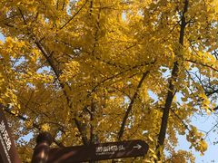 -食膳公园包子铺(烈士公园店)