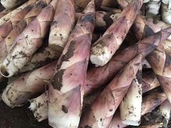 -Apple 零售店(Canton Road)