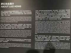 -罗红摄影艺术馆