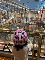 -卡通尼·Safari非洲探索乐园·生日会(金桥国际商业广场店)