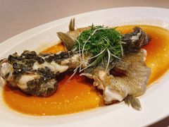 -三利音·东方司宴(外滩店)