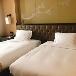 -重庆江北希尔顿逸林酒店·宴会厅