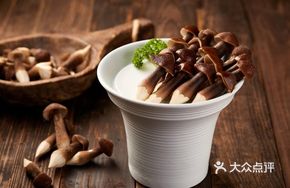 Yunnan Air-Freighted Black Chicken Mushroom
