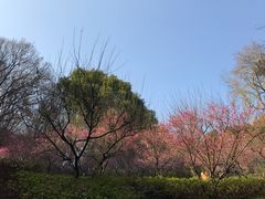 -团城山公园