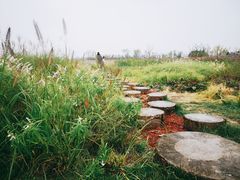 -汉长安城未央宫国家考古遗址公园