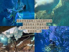 -哈尔滨波塞冬海底世界