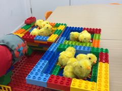 -斯坦星球青少儿编程机器人科学乐高思维专注力科创竞赛规划(武汉凯德西城学习中心)