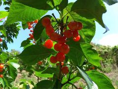 iphone_upload_pic-王家小院