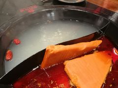 清油鸳鸯锅-重捞鲜毛肚火锅(东方不夜城店)