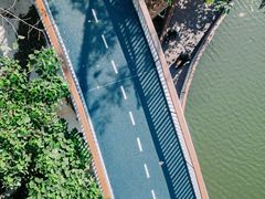 -银湖山郊野公园-相思林