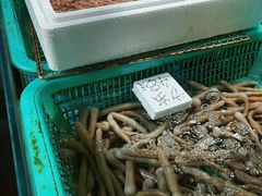 -都斛海鲜街