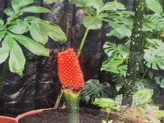 -北京植物园-展览温室