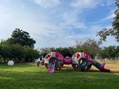 -福建鲤鱼洲酒店