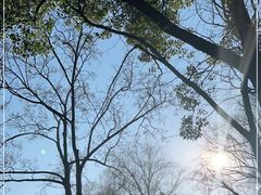 -秋霞圃