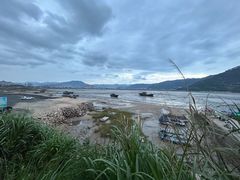 -北岐滩涂