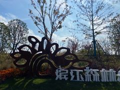 -上海滨江森林公园