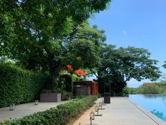 -瑰丽酒店·海吧·天际下午茶·现场DJ·天台酒吧