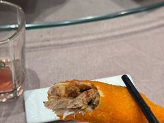 -丁老爷子苏香圆