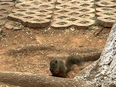 -昆明动物园