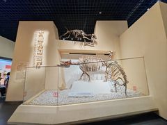 -国家自然博物馆