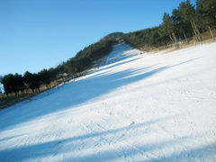-玉泉威虎山森林公园