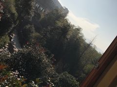 -江南天池高山汤泉城