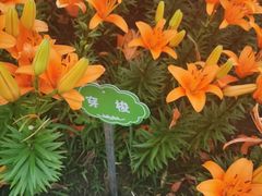 -长春公园(普阳街道)