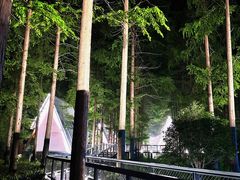 -黄海国家森林公园