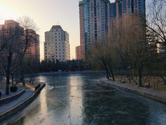 -团结湖公园