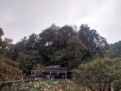 -韶山毛泽东同志故居