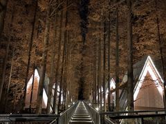 -黄海国家森林公园