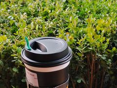-星巴克臻选(北京凤凰汇店)