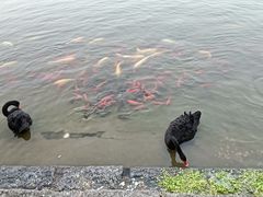 -中国农业博物馆