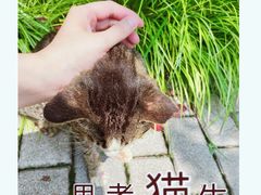 -静安公园(静安寺街道)