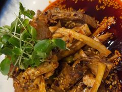 -院8里·少城记忆老川菜(宽窄巷子店)