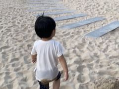 -上海佘山世茂艾美酒店