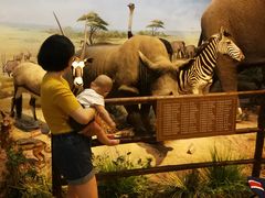 -陕西自然博物馆