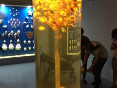 -苏州海洋馆