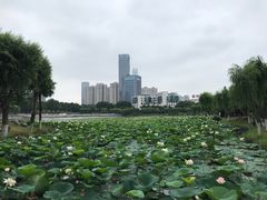 -后襄河公园